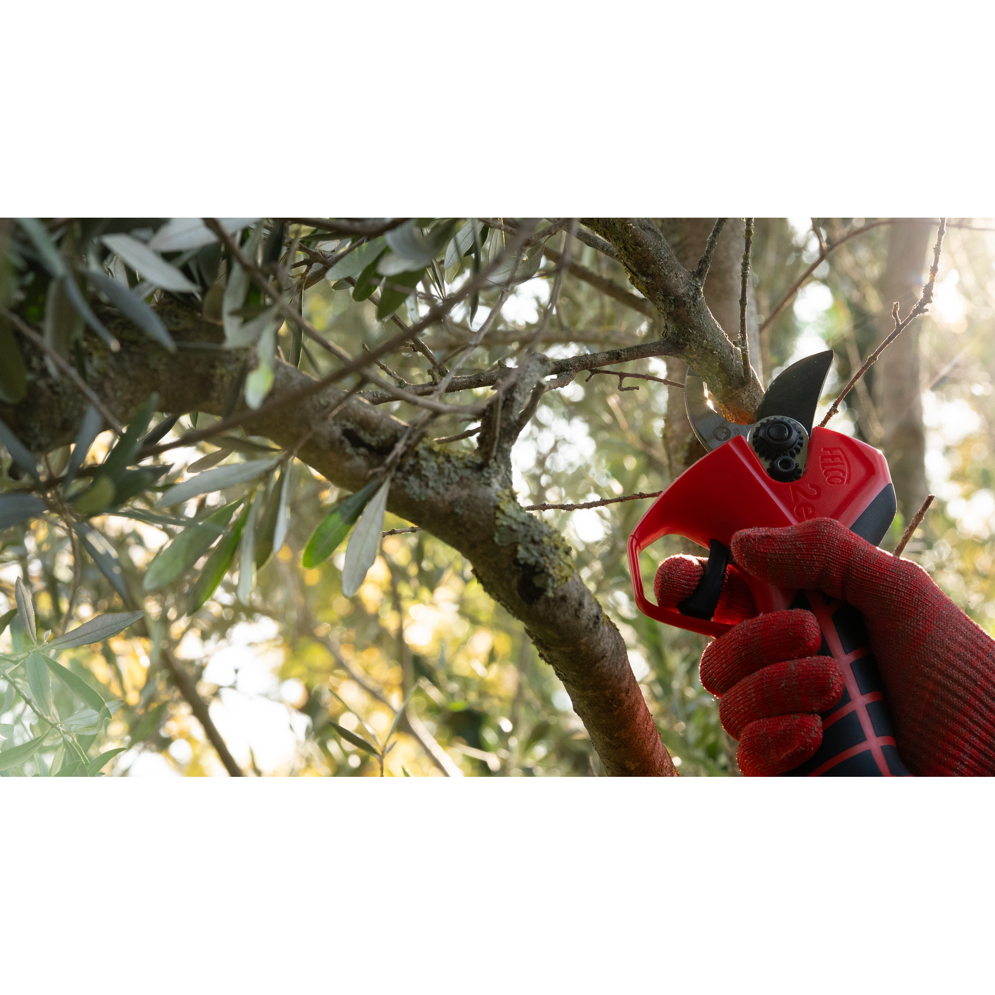 FELCO 2e - Lifestyle - Context/Still