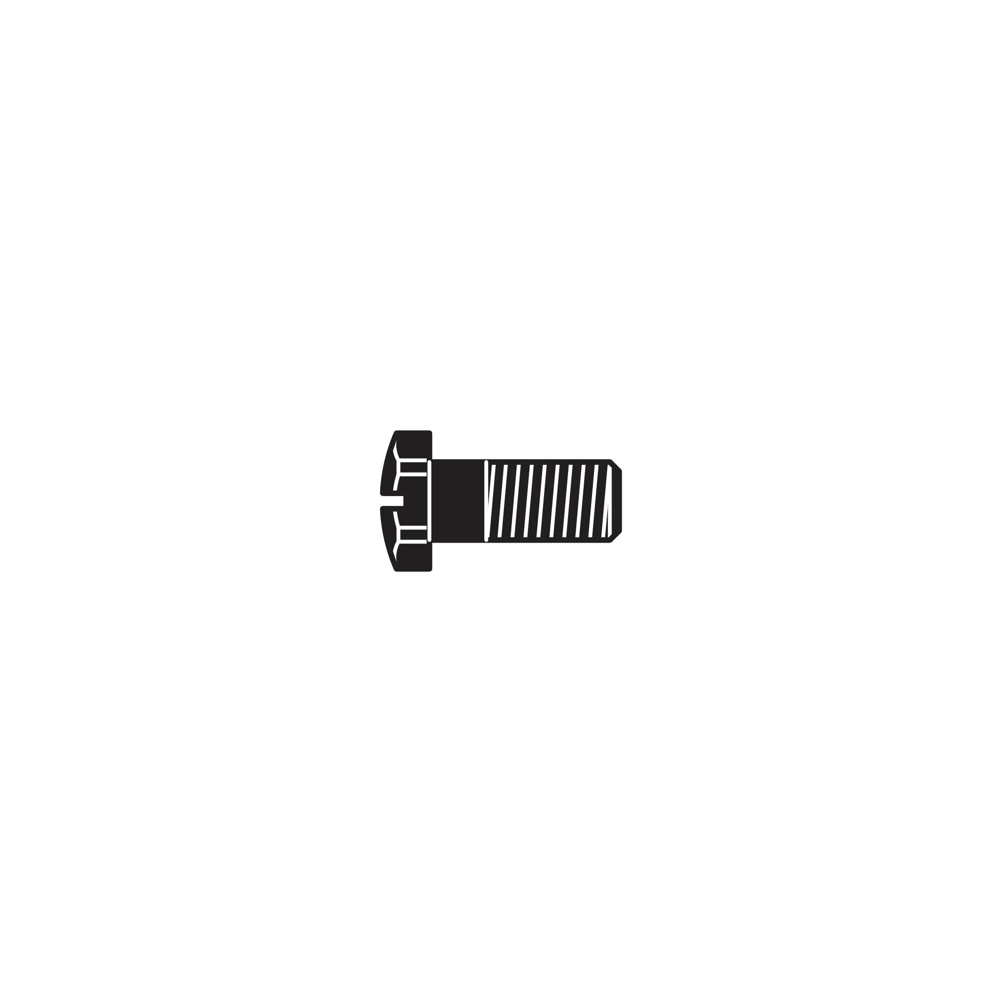 2/17 Screw for toothed segment - Product - Main View