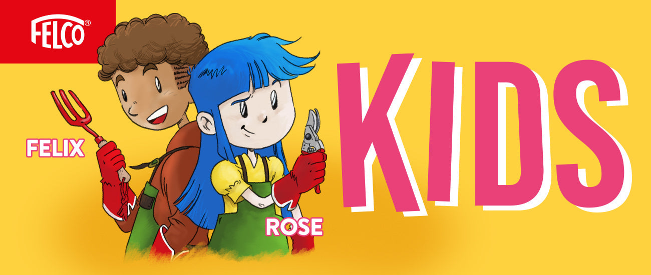 FELCO KIDS: An Inspiring New Initiative