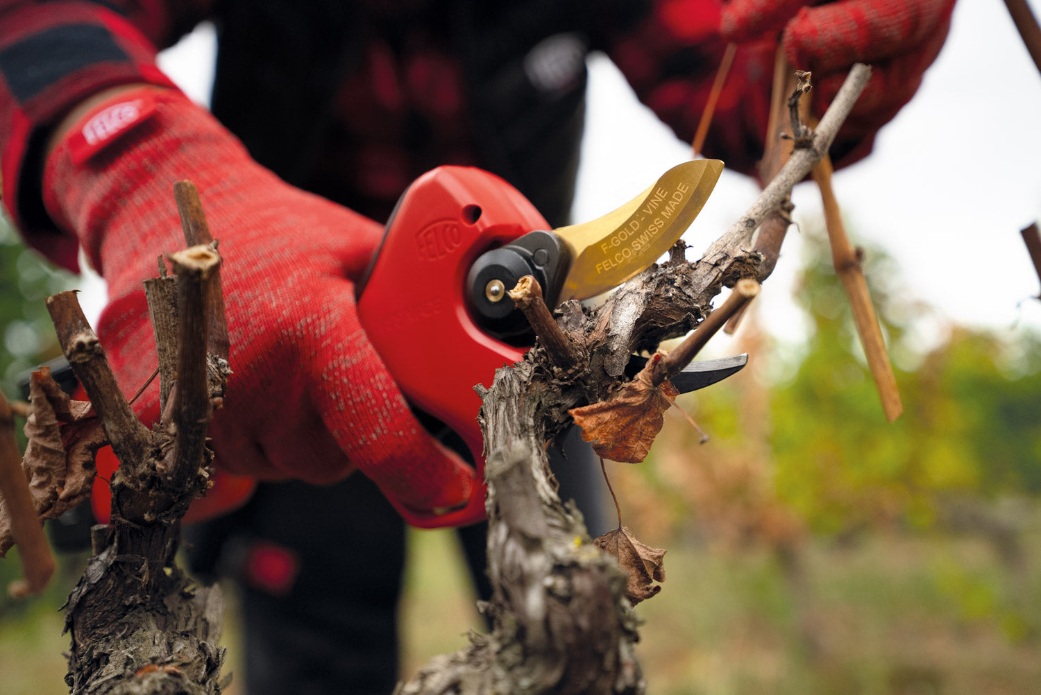 Rivestimento della lama F-GOLD: la nostra ultima innovazione per un'efficienza di potatura senza pari