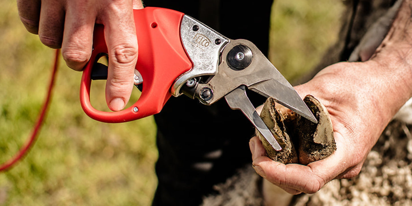 Hoof clippers