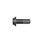 C108/6 Bolt