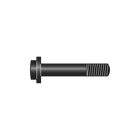 C112/19 Carrige bolt