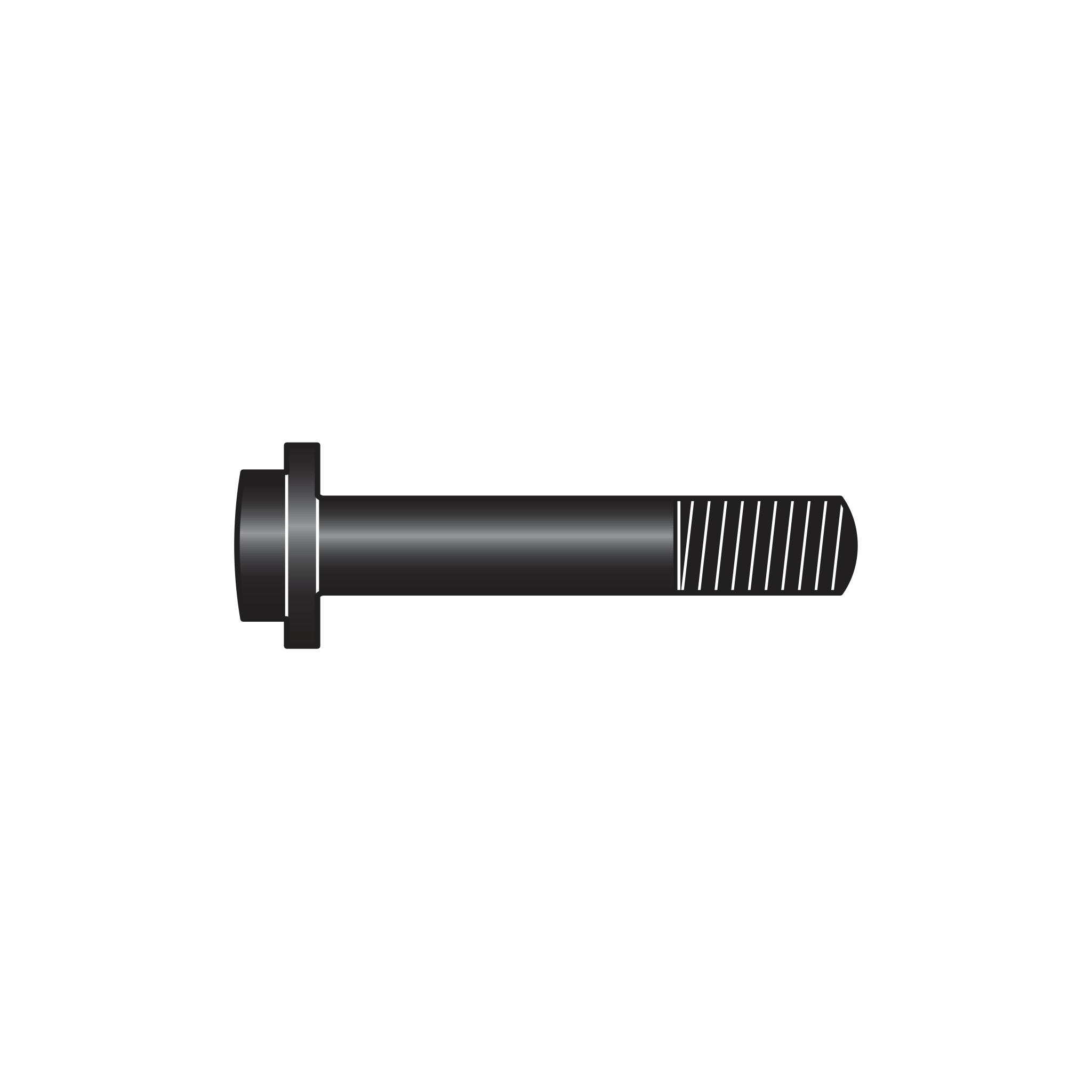 C112/19 Carrige bolt - Product - Main View