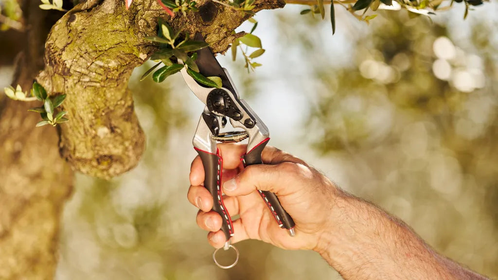 These Professional-Grade Pruning Shears Are an Investment Worth Making
