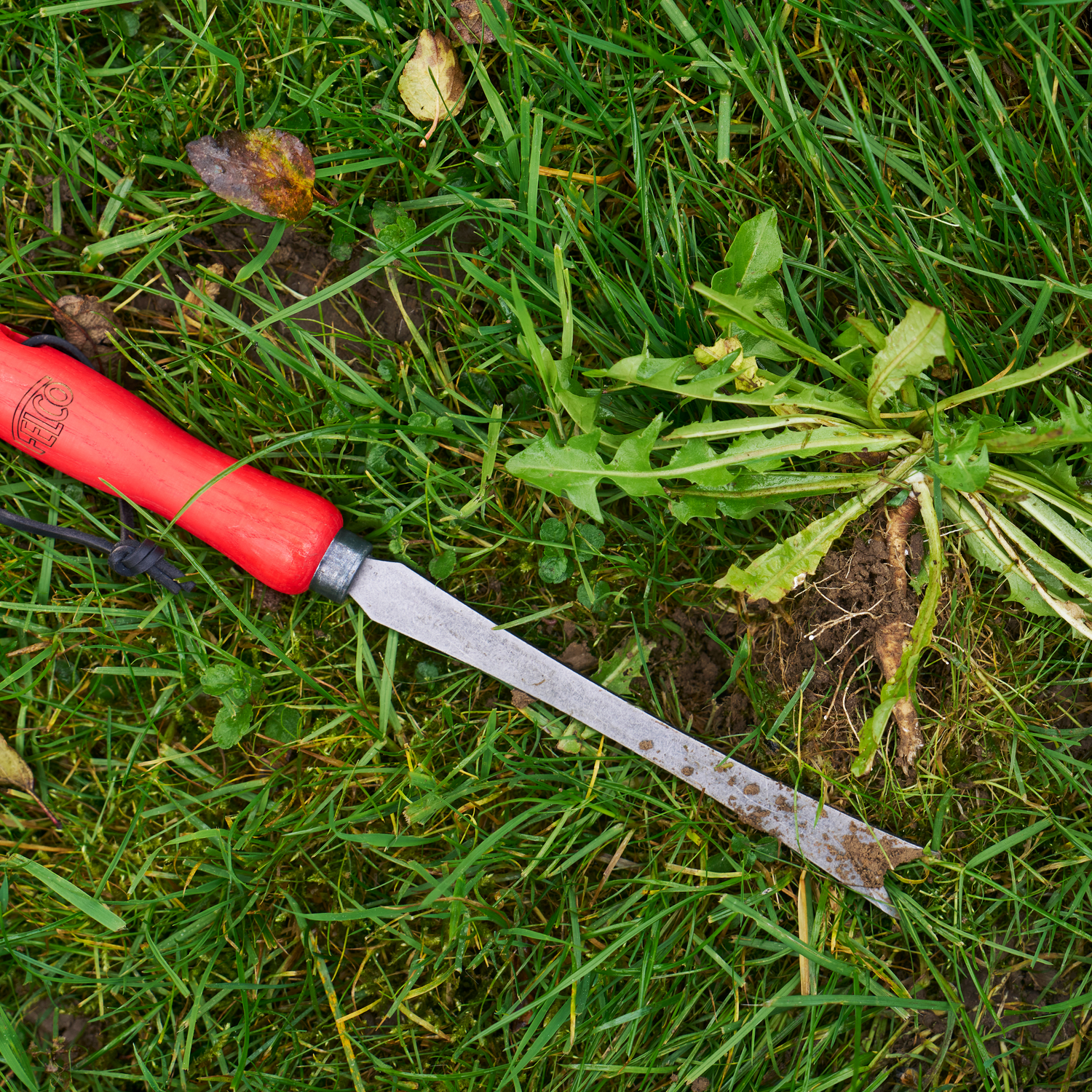 Gardening category FELCO 442 FELCO Switzerland Gardening category FELCO 442 FELCO Switzerland
