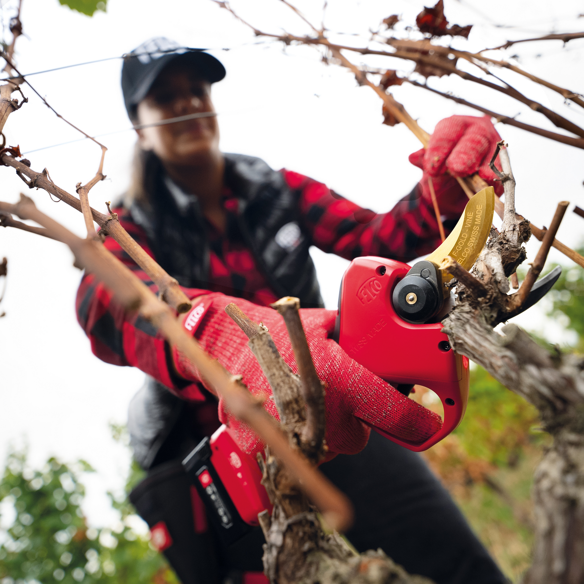 FELCO 834V Electric Pruning Shears | Lightweight Vine Pruner – FELCO ...