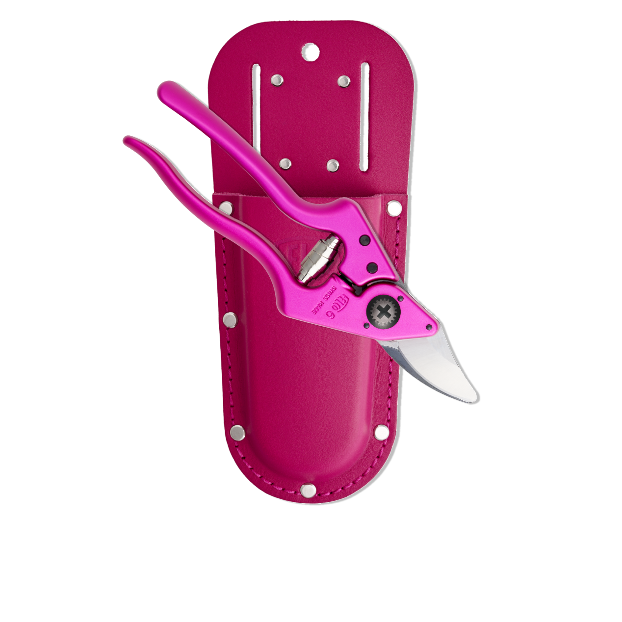Pink Passion